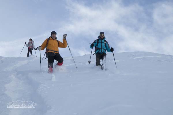 19 01 Shollengrat 1135