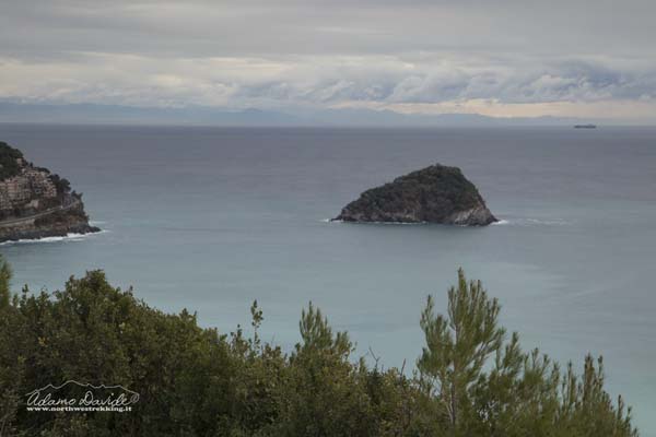 19 02 SpotornoMao 1199