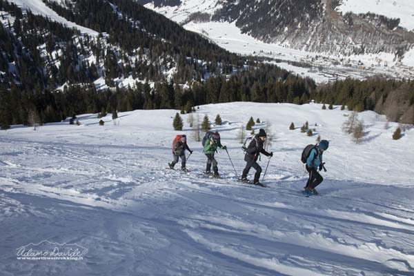 19 02 Surettasee 1474