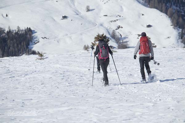 19 02 Surettasee 1515