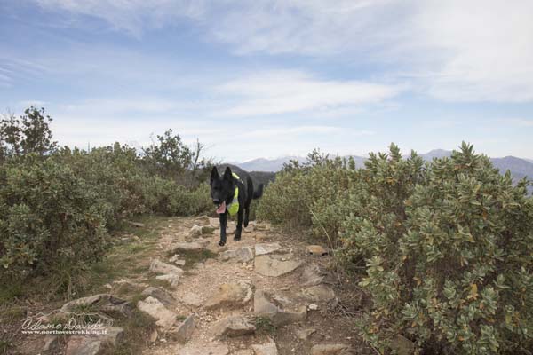 19 03 MteBignone 1655