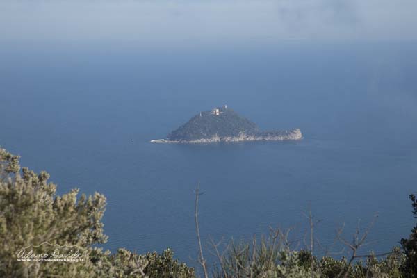 19 03 MteBignone 1673