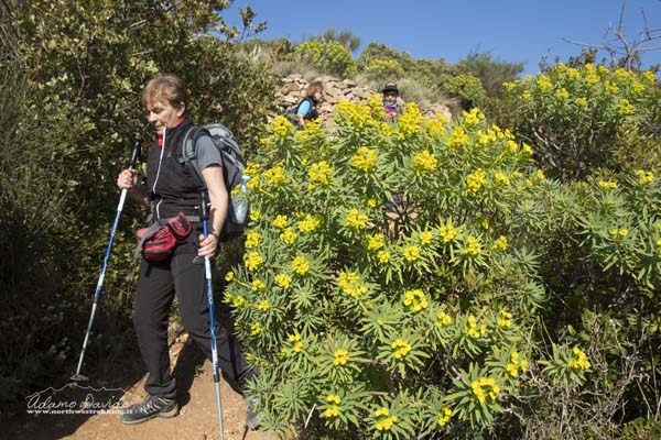 19 03 MteBignone 1707