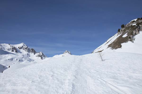 19 03 PsoColombe 1716