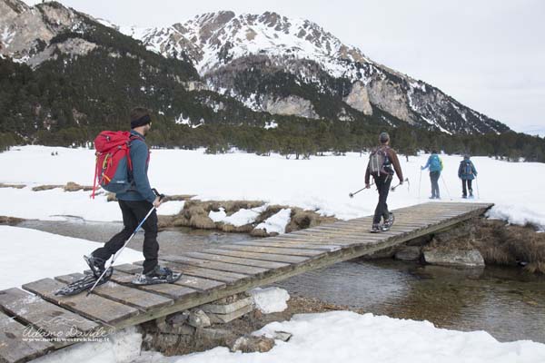 19 03 PsoColombe 1764