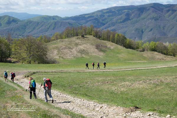 19 04 PathOfGods 2997