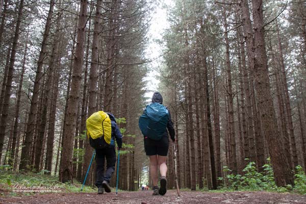 19 04 PathOfGods 3198