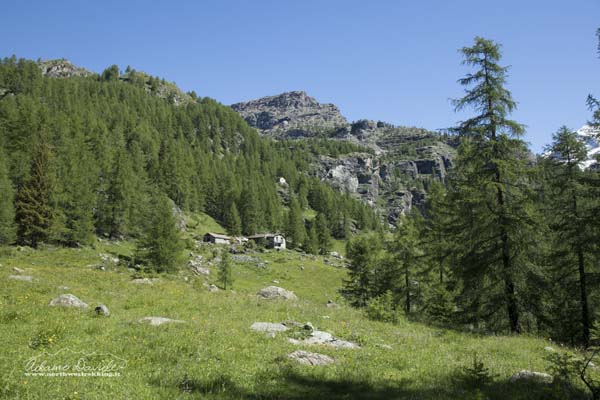 19 06 CimeBianche 4342