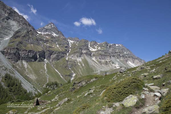 19 06 CimeBianche 4353