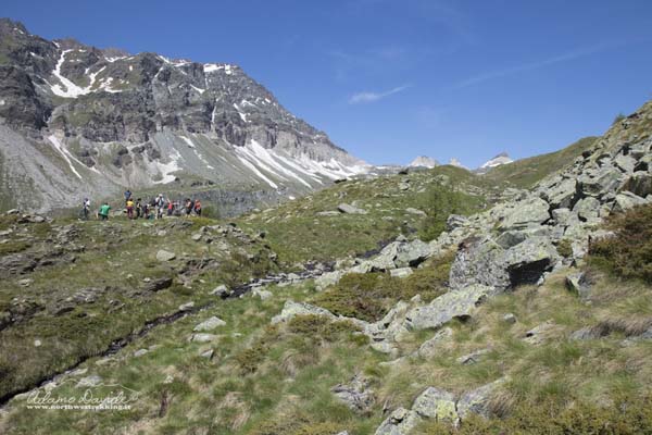 19 06 CimeBianche 4385