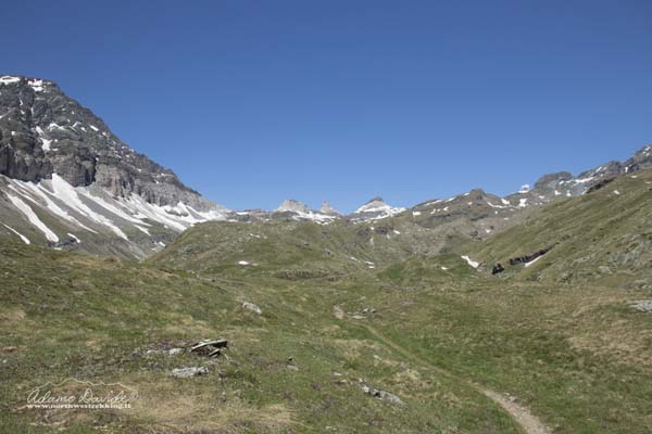 19 06 CimeBianche 4396