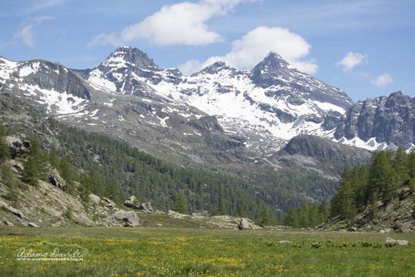 19 06 CimeBianche 4495