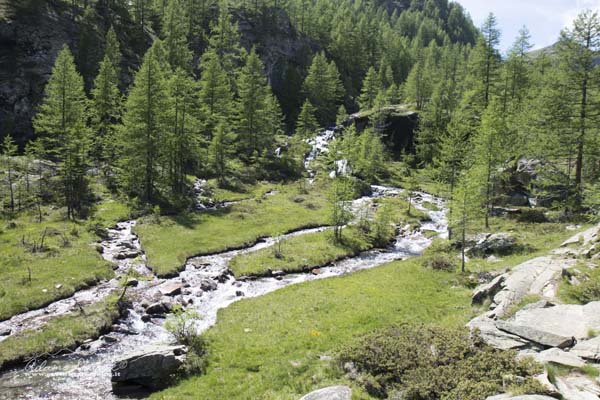 19 06 CimeBianche 4503
