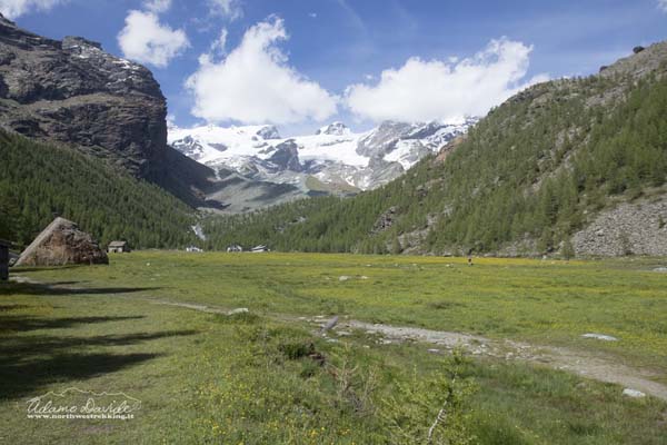 19 06 CimeBianche 4514