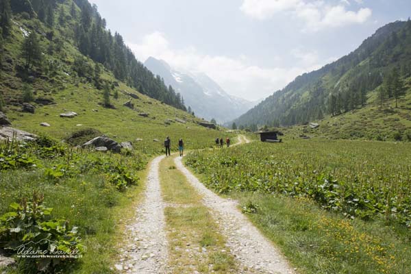 19 06 AdulaMalvaglia 4522