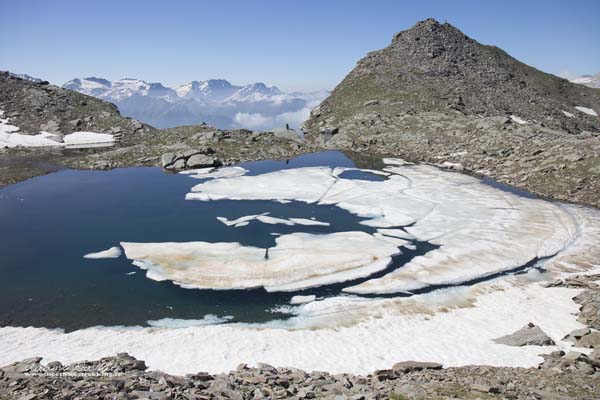 19 06 AdulaMalvaglia 4582