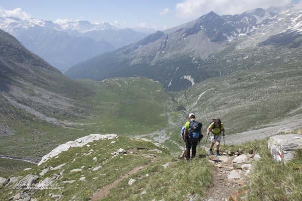 19 06 AdulaMalvaglia 4604