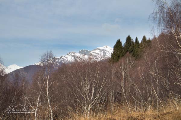 19 12 PranzoNataleMiazzina 7933