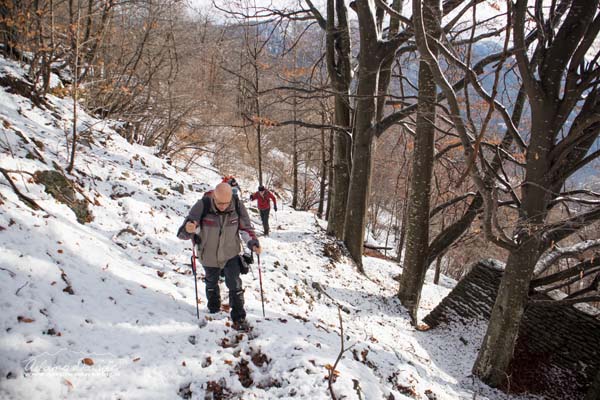 19 12 RifCrosta 7951