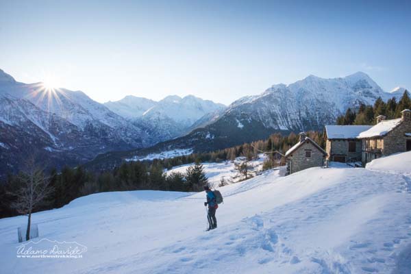 19 12 RifCrosta 8005