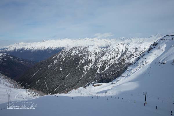 19 12 Salmurano 8019