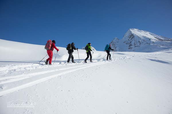 19 12 RupeGesso 8108