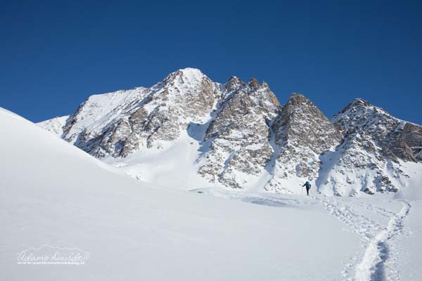 19 12 RupeGesso 8116