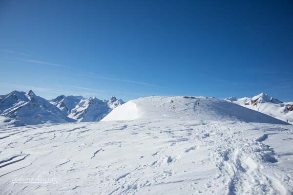 19 12 RupeGesso 8122