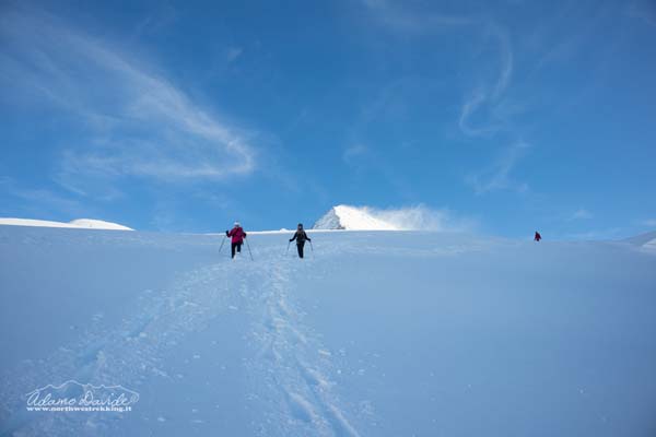 19 12 RupeGesso 8153