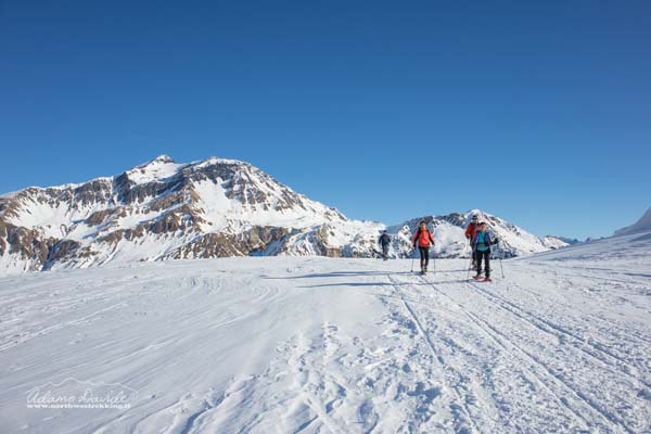 Salendo al Passo colombe