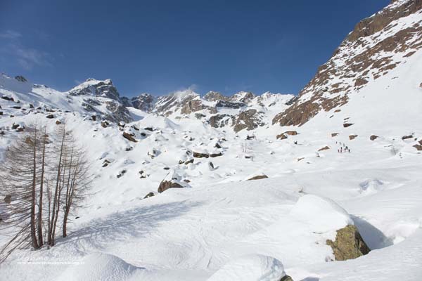 20 01 Bandiera Devero 8584