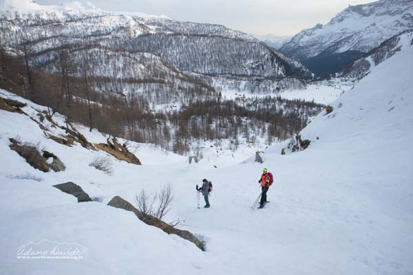 20 01 Bandiera Devero 8629