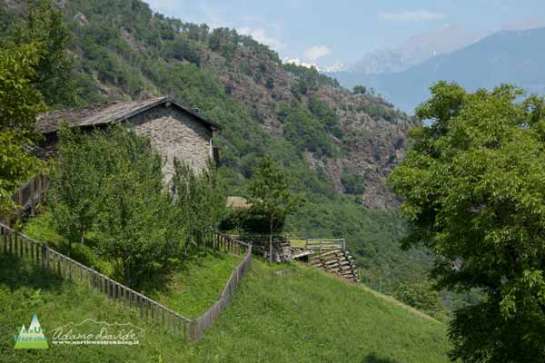 Sostila e Monte disgrazia