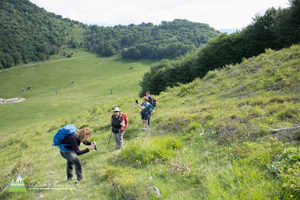 20 05 PilastroPrada 9526