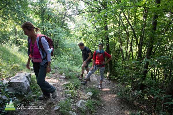 20 06 MagnodenoFo 9632