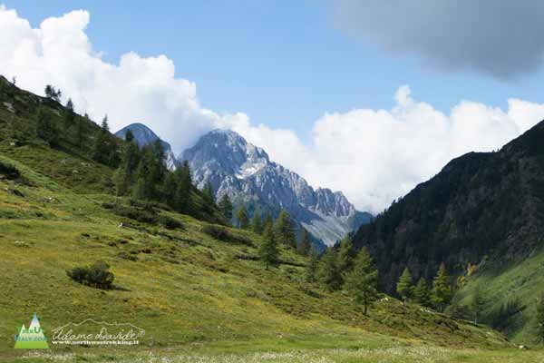 20 07 AsininaValbona 0298