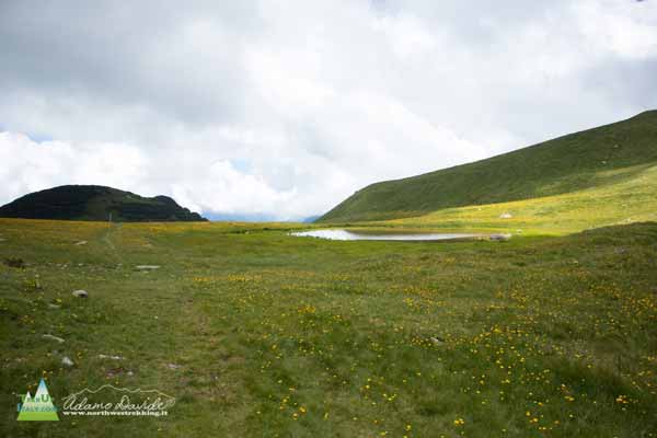 20 07 AsininaValbona 0304