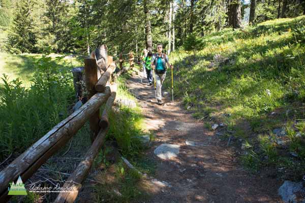 20 07 DeffeyesRuitor 0501