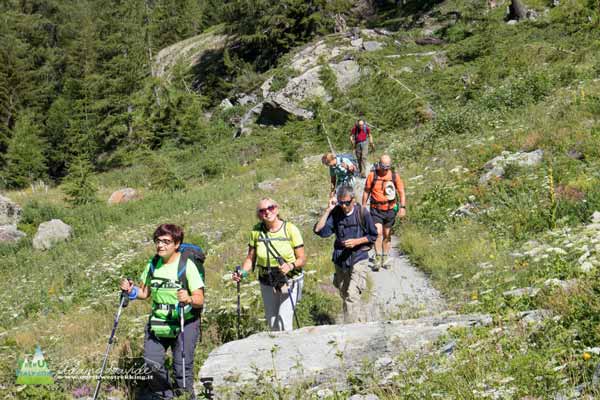 20 07 DeffeyesRuitor 0515