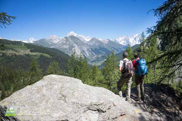 20 07 DeffeyesRuitor 0532