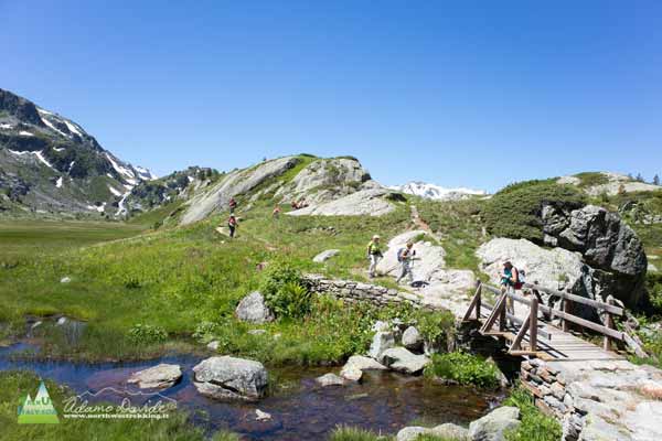 20 07 DeffeyesRuitor 0569