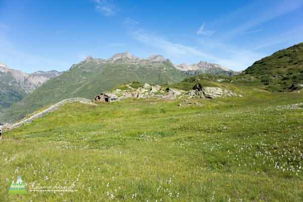 20 07 FormazzaNeroKastel 0948