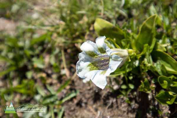 20 07 FormazzaNeroKastel 0989