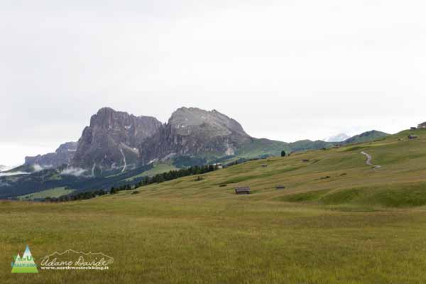 20 07 SiusiCatinaccio 1073