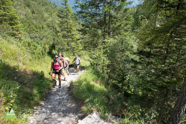 20 07 DolomitiFriulane 1390