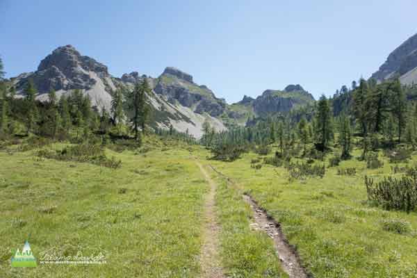 20 07 DolomitiFriulane 1447