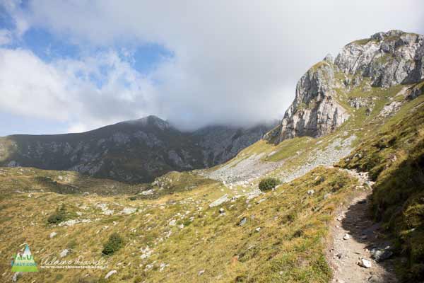 20 09 PassoVacca 2610