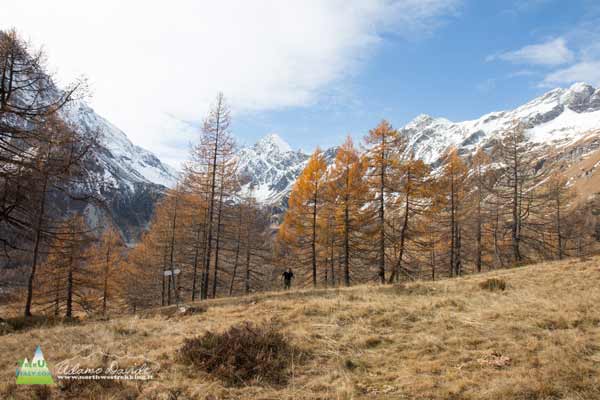 20 11 AlpeVeglia 3789