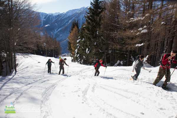 20 12 Monscera Bognanco 4052