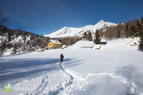 20 12 Monscera Bognanco 4056